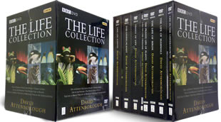 The Life Collection DVD